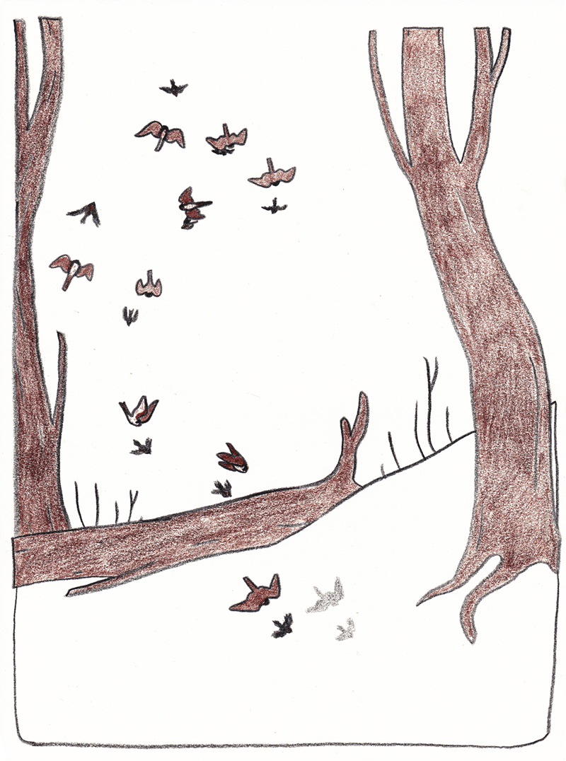 - la femme du moujik- page 33