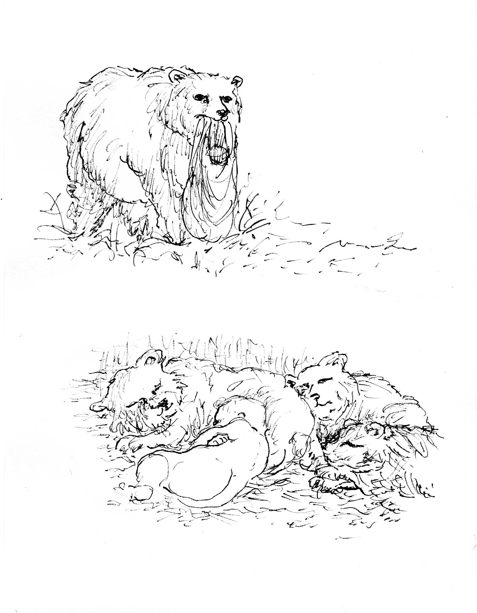 - J>>C (Jean-Christophe)- page 11