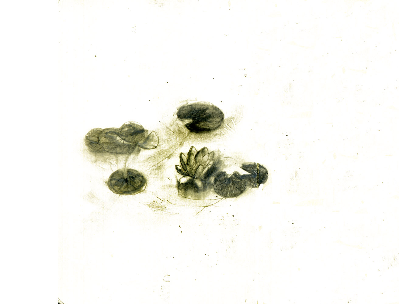 - ÉLODÉE - page 17