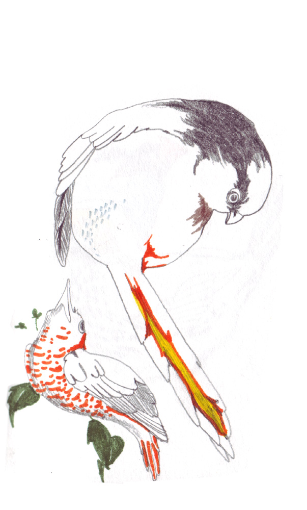 - ZoZiothérapy- page 9