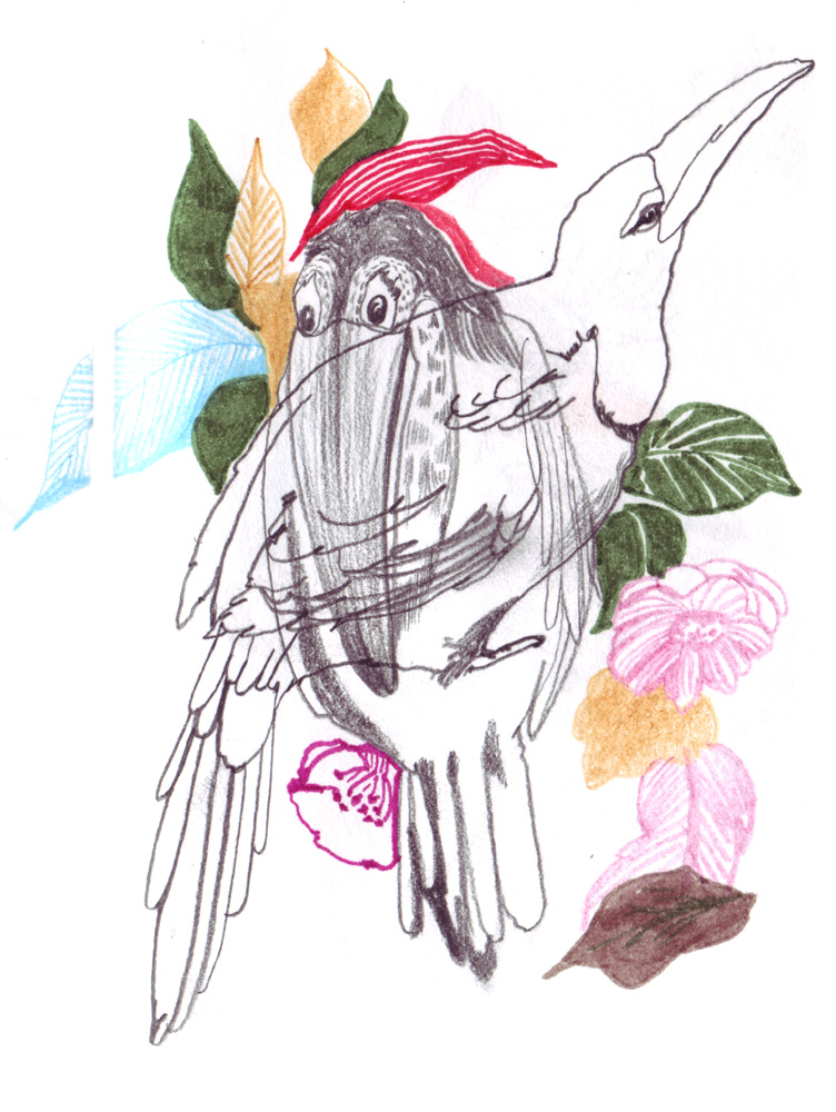 - ZoZiothérapy- page 7