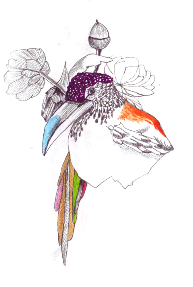 - ZoZiothérapy- page 5