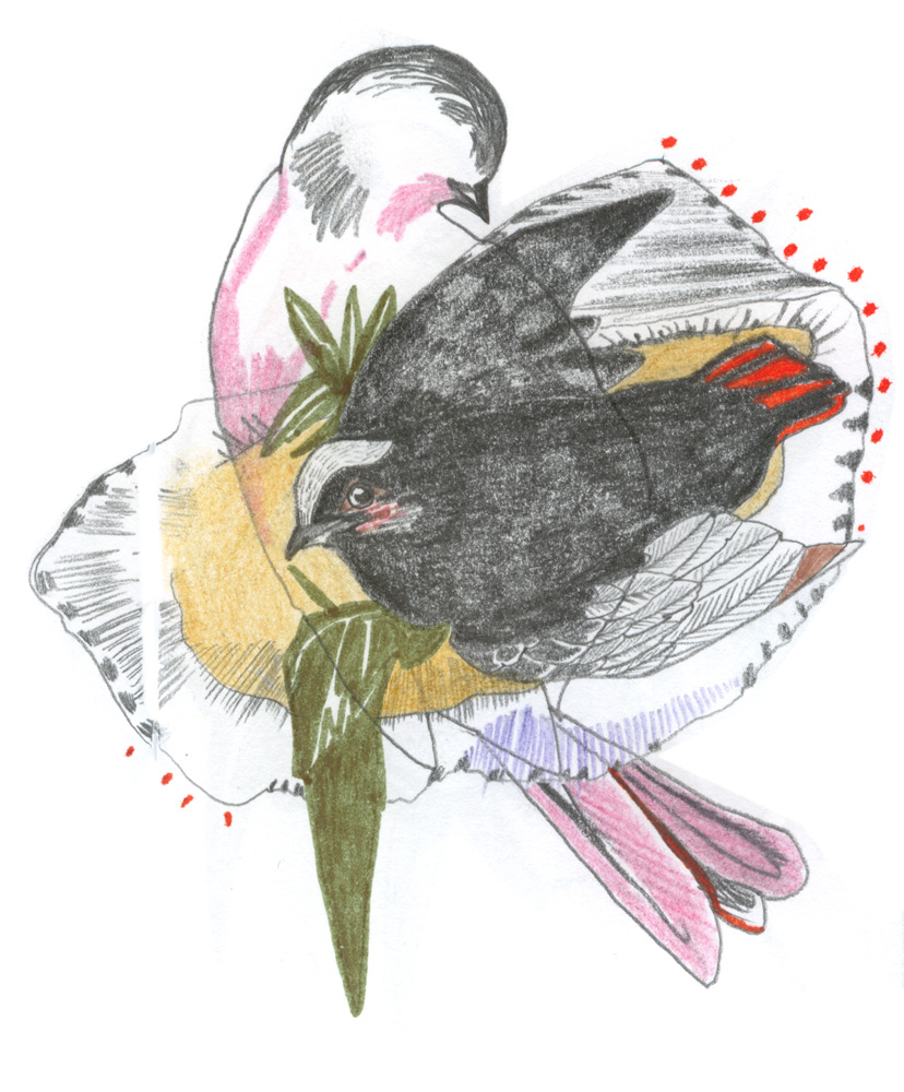 - ZoZiothérapy- page 24