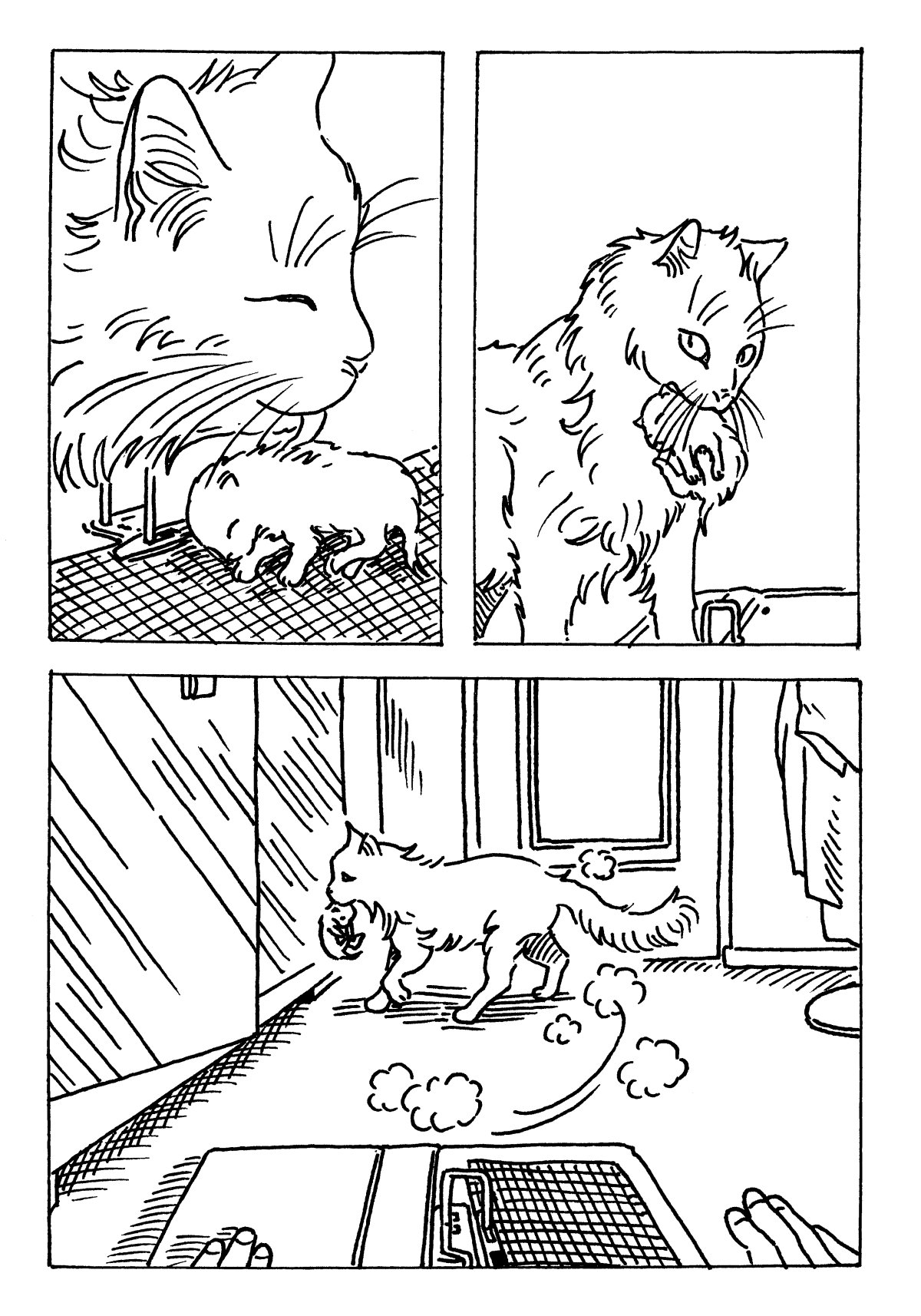 - Misérables Humains- page 24