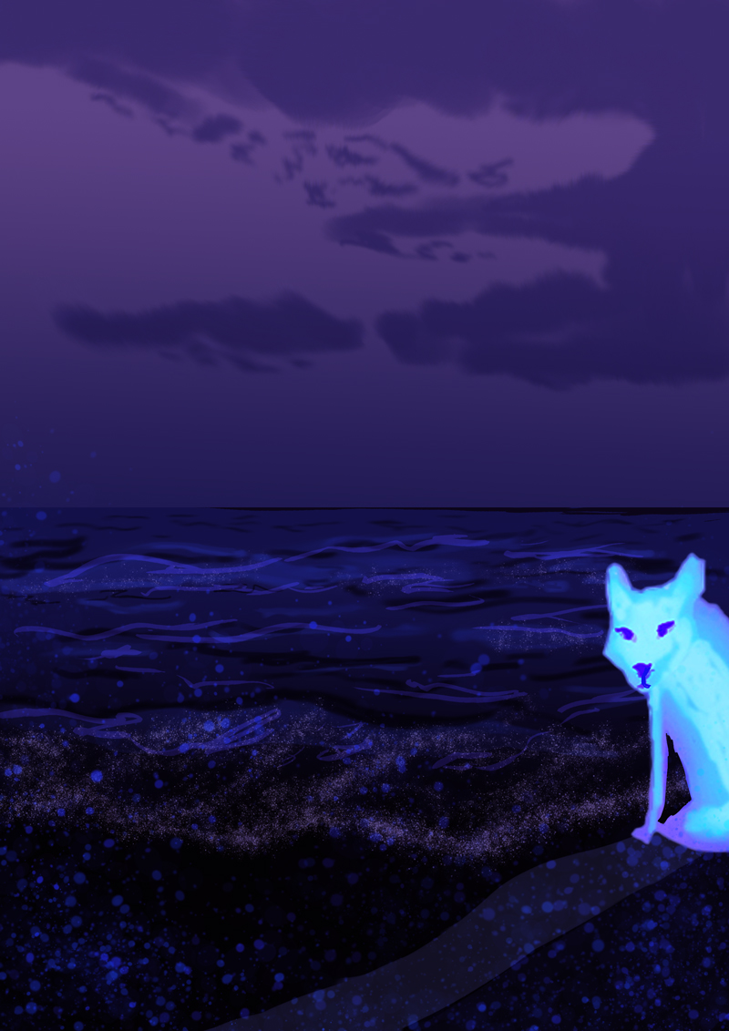 - Where am I ?- page 20