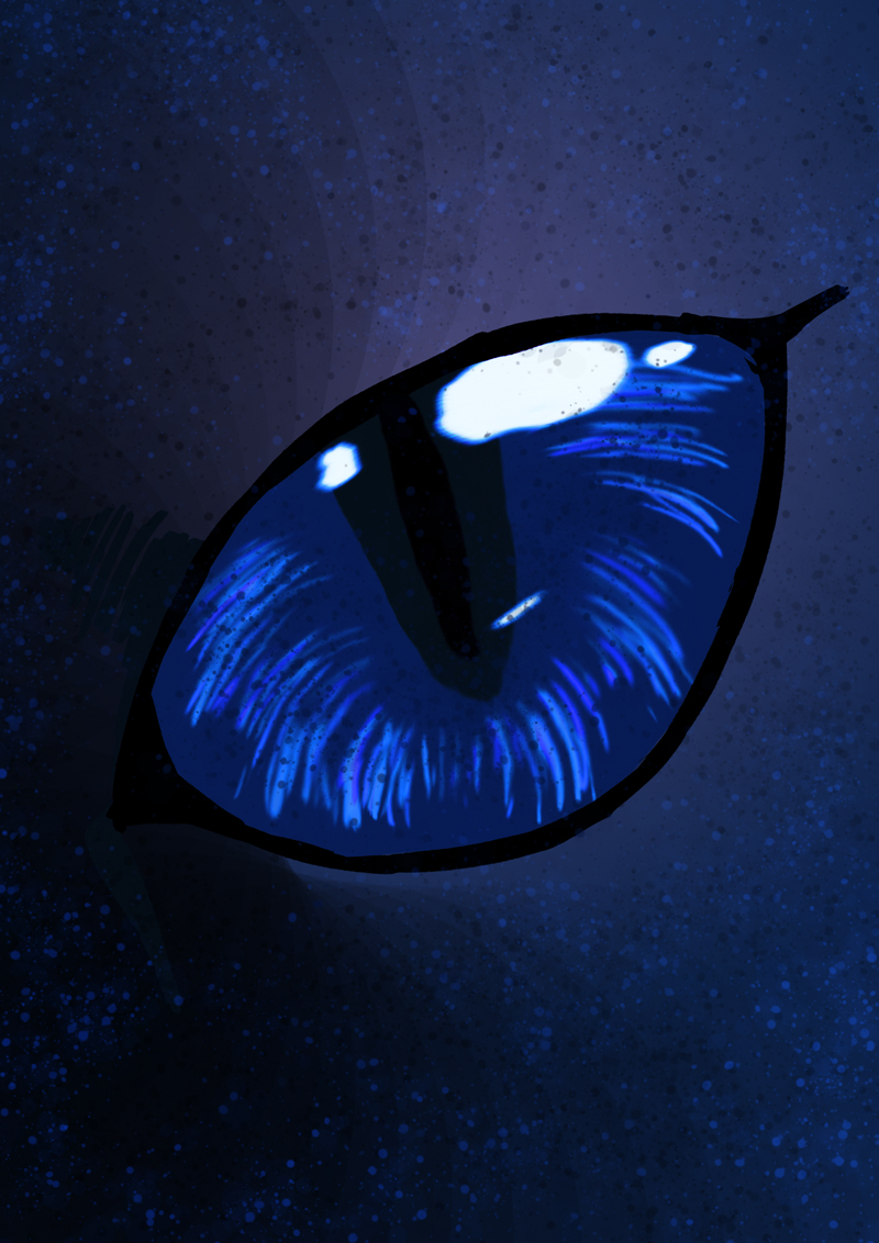 - Where am I ?- page 21