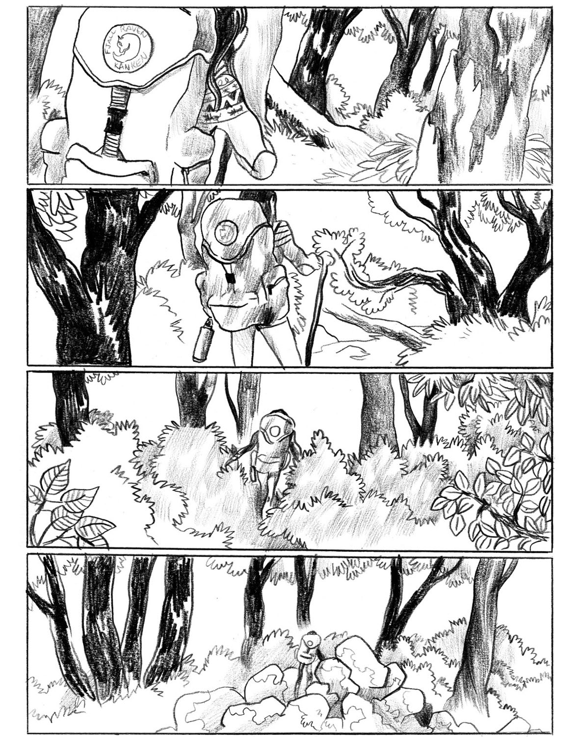 - Sauvage, ou la sagesse des pierres.- page 107