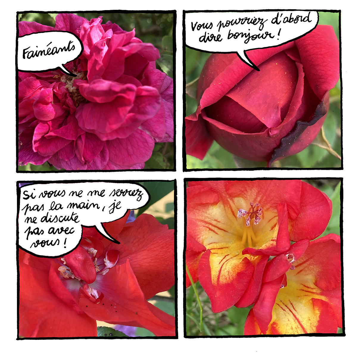 - C'est le printemps !- page 3