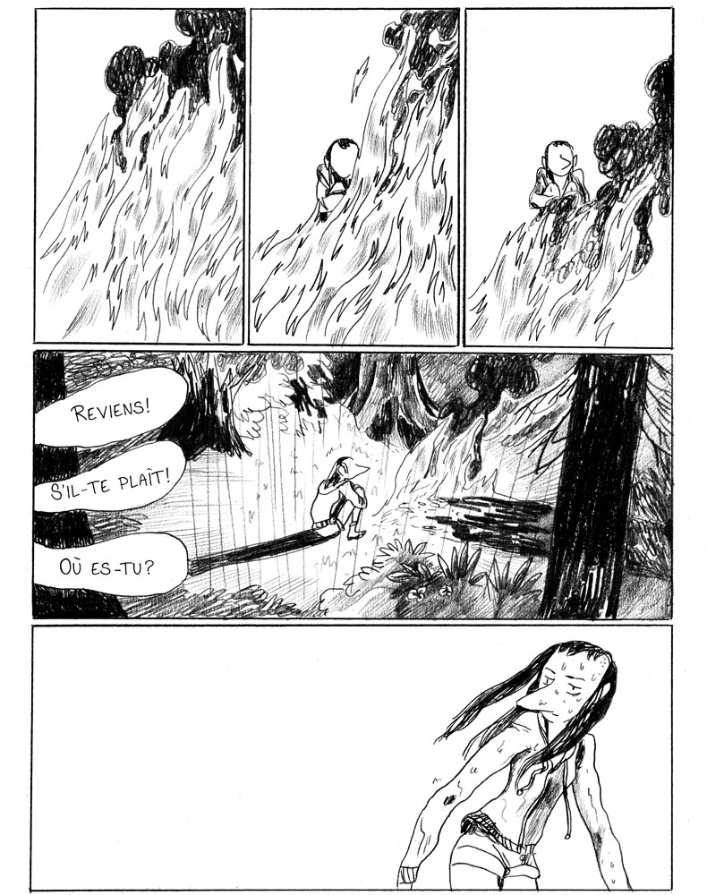 - Sauvage, ou la sagesse des pierres.- page 43