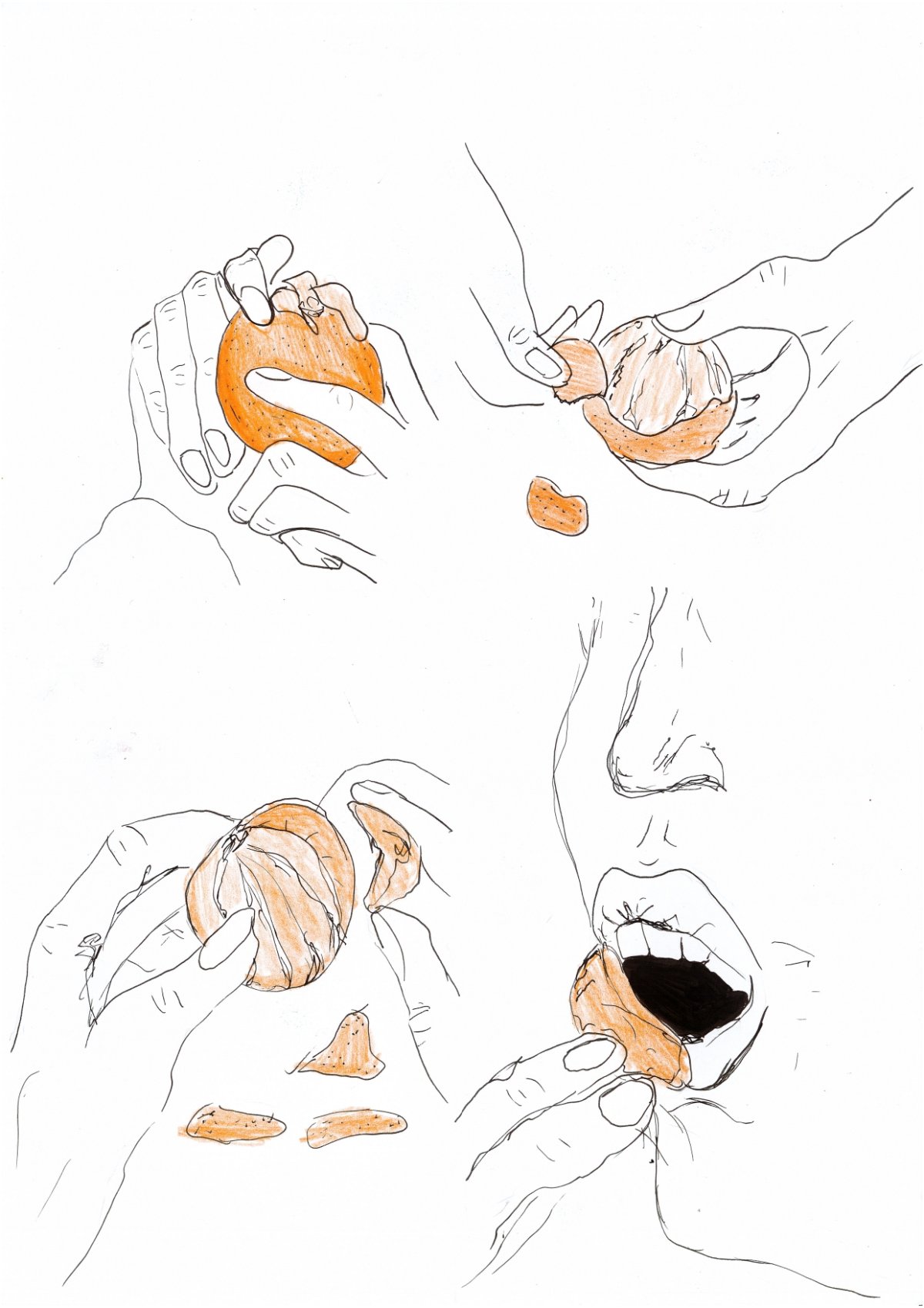 - Une clémentine- page 2