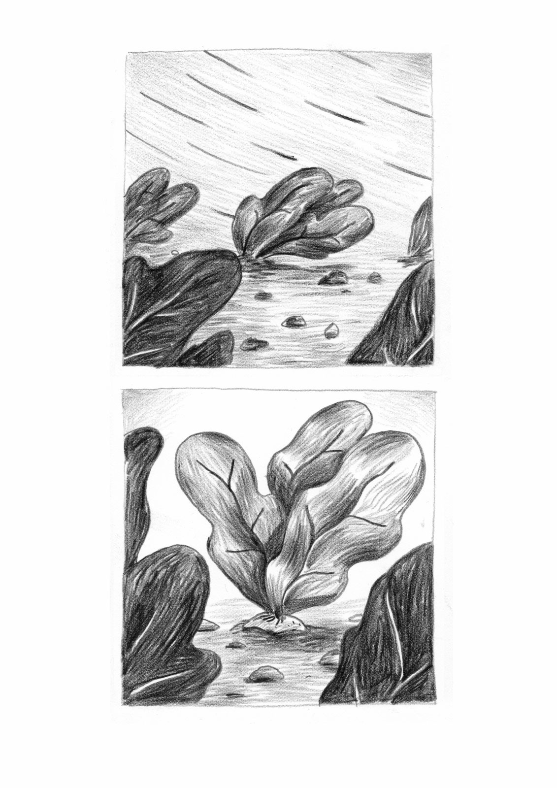 - Mercredi midi- page 3