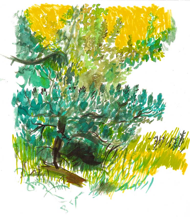 - Carnet sous le soleil / Exactement / Juste en dessous- page 9