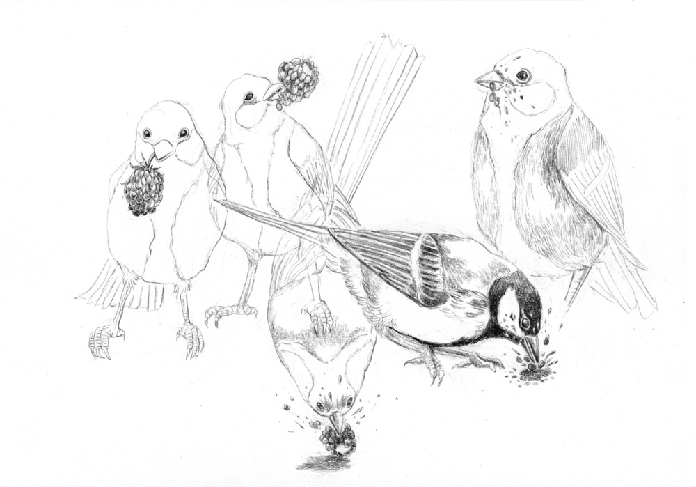 - Marmelade- page 67