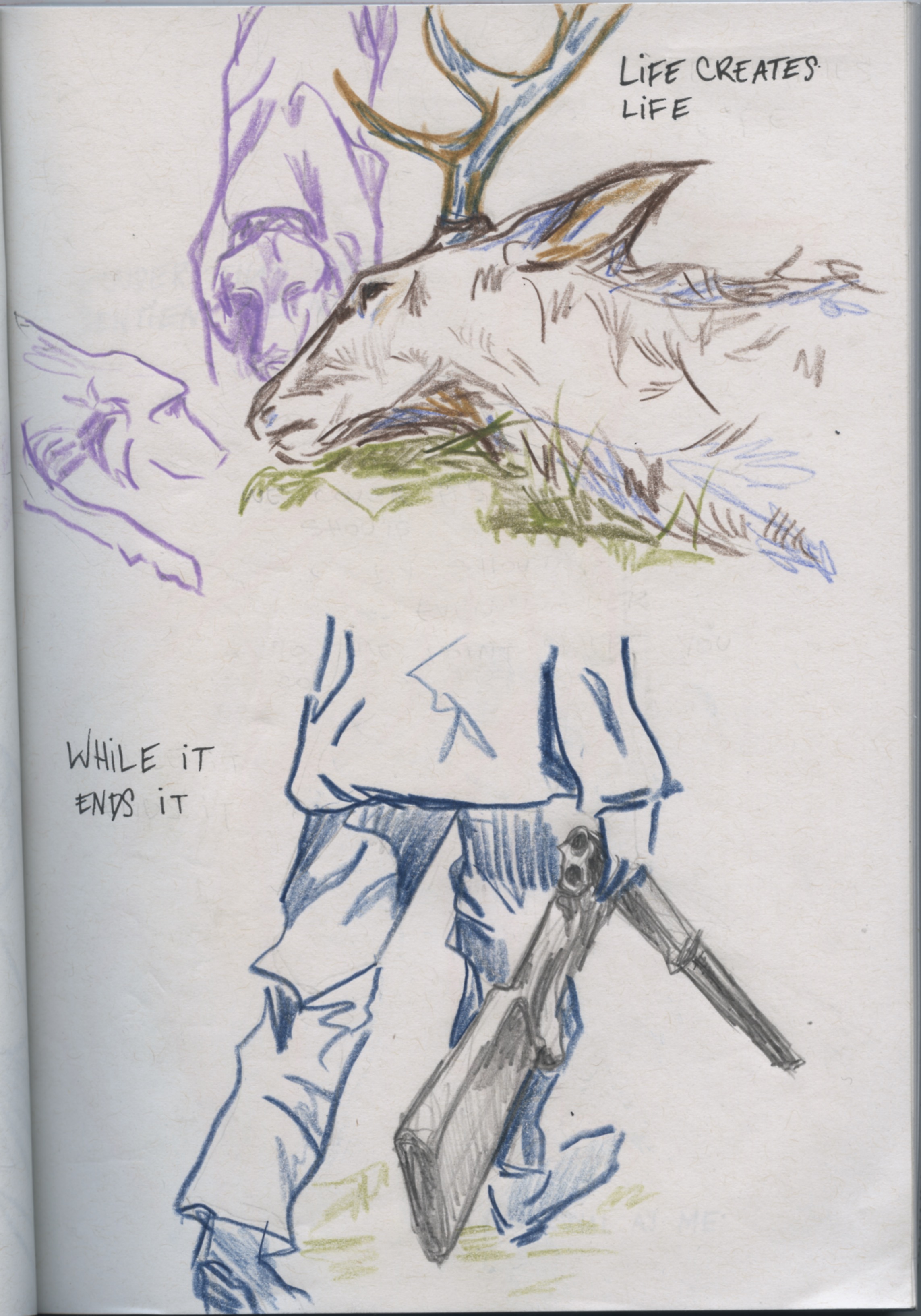 - untitled (hunting rifles and dogs)- page 3