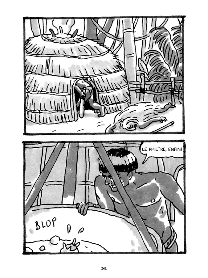 - Pas tristes tropiques- page 250