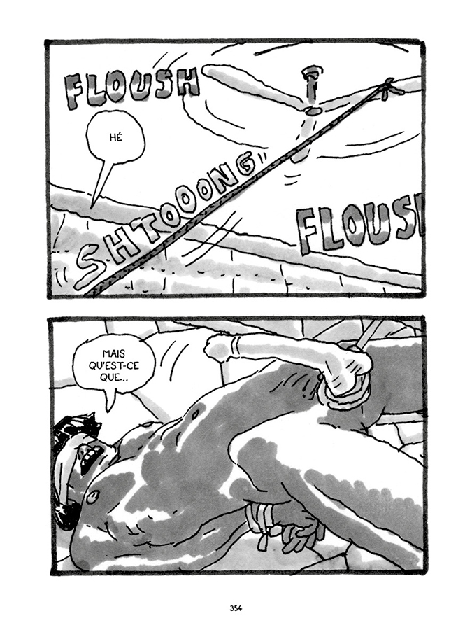 - Pas tristes tropiques- page 339