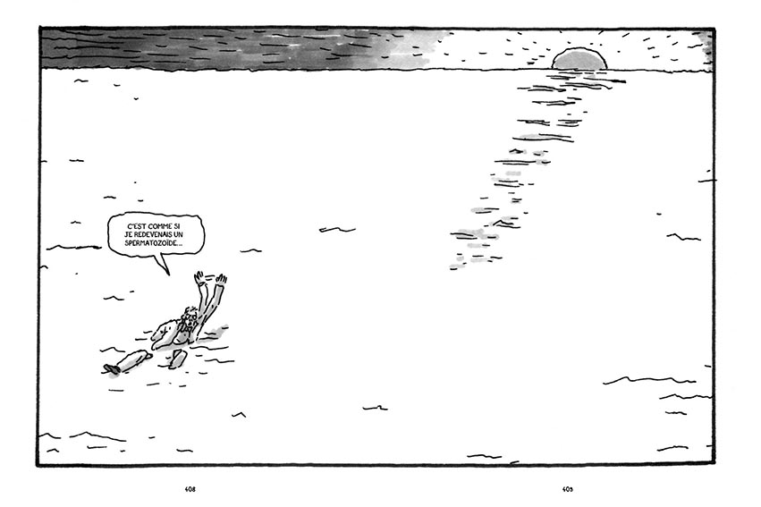 - Pas tristes tropiques- page 393