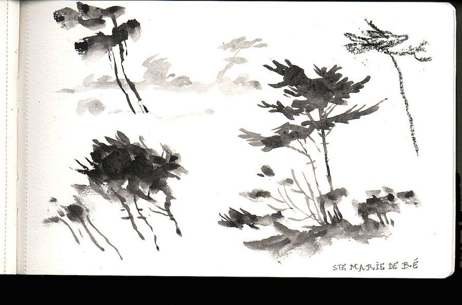 - Carnet de Ré- page 20