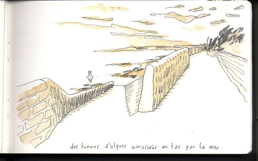 - Carnet de Ré- page 7