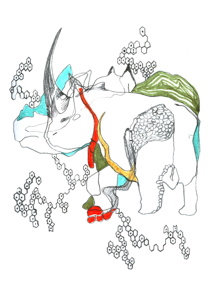 - ZoZiothérapy- page 31