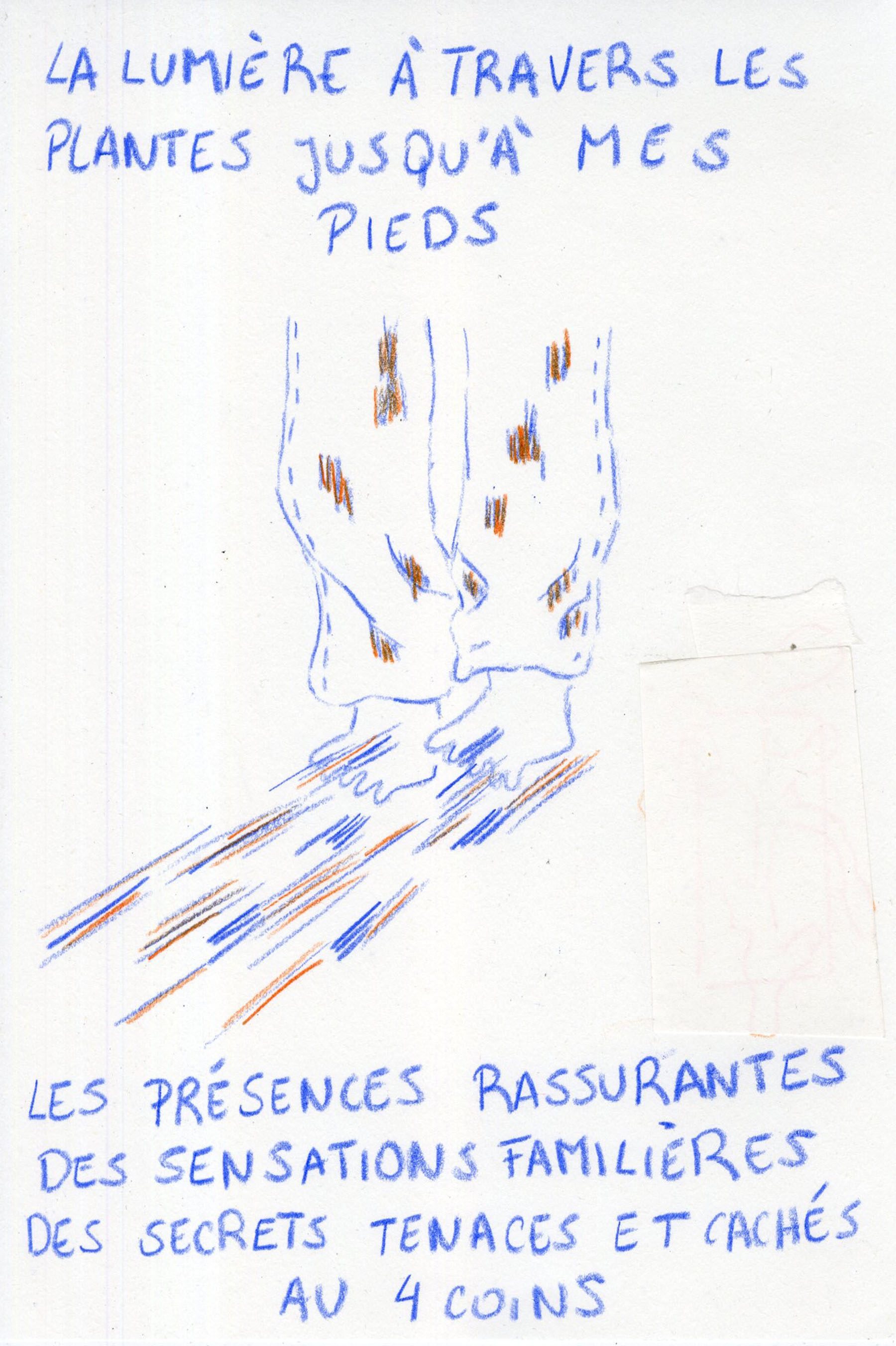 - Nouvelle adresse- page 11