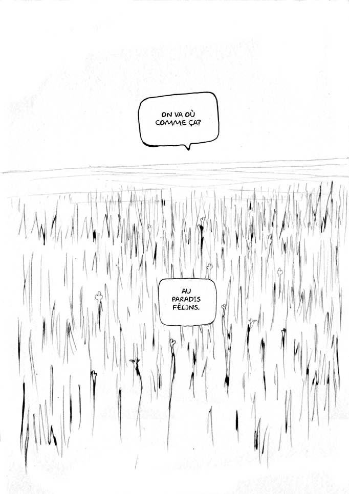 - la Sauvageonne et le fauve- page 10