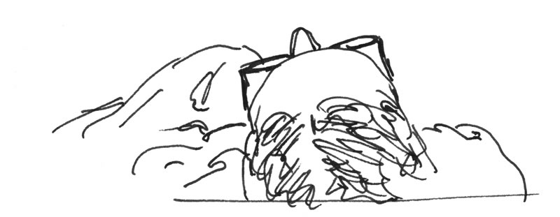 - le petit bazar- page 54