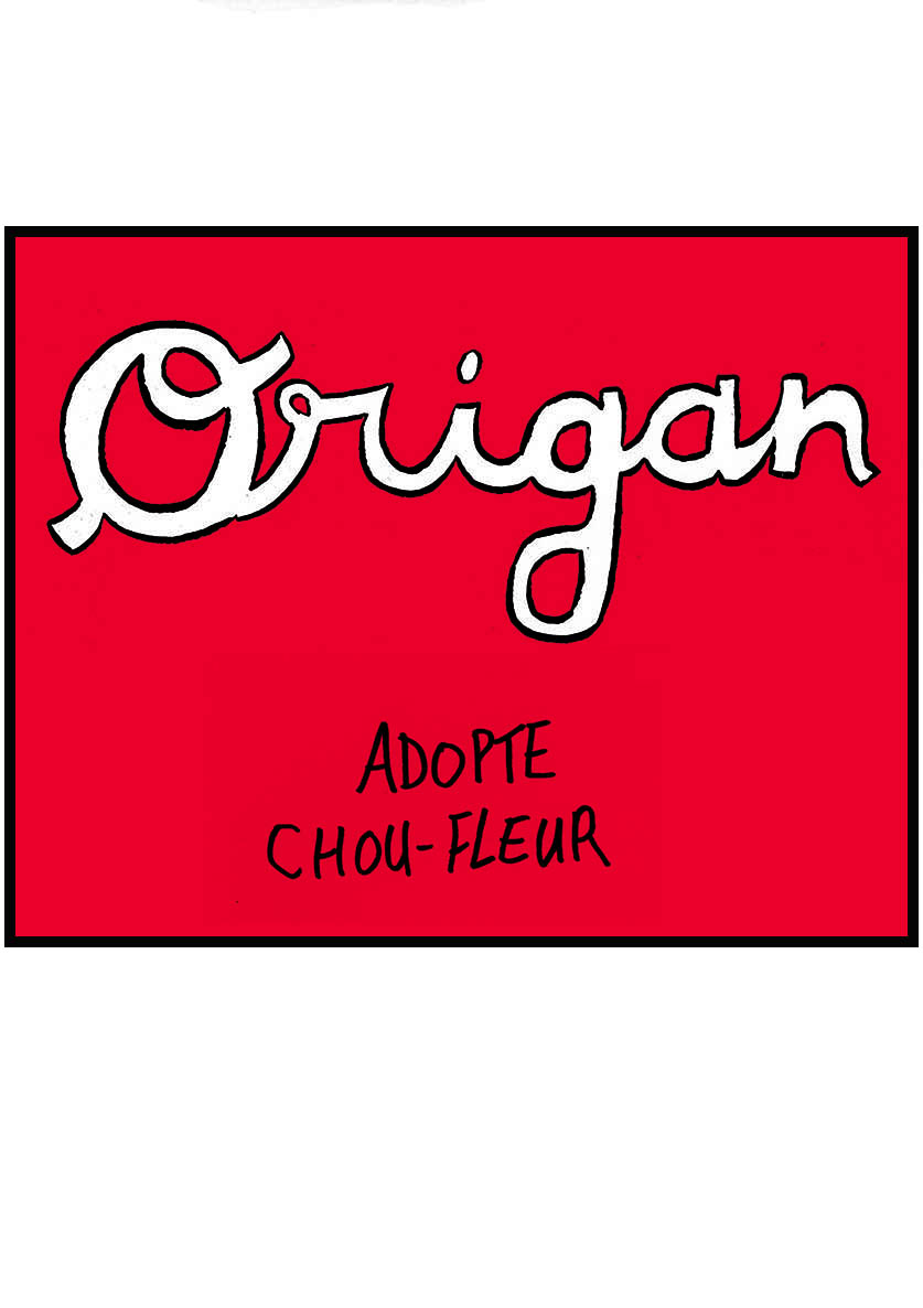 - ORIGAN adopte CHOU-FLEUR- page 1