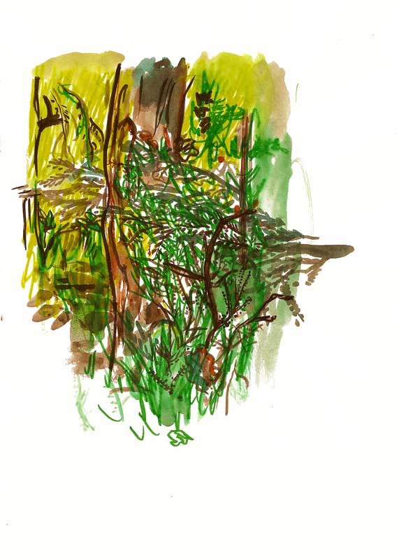 - Carnet sous le soleil / Exactement / Juste en dessous- page 16