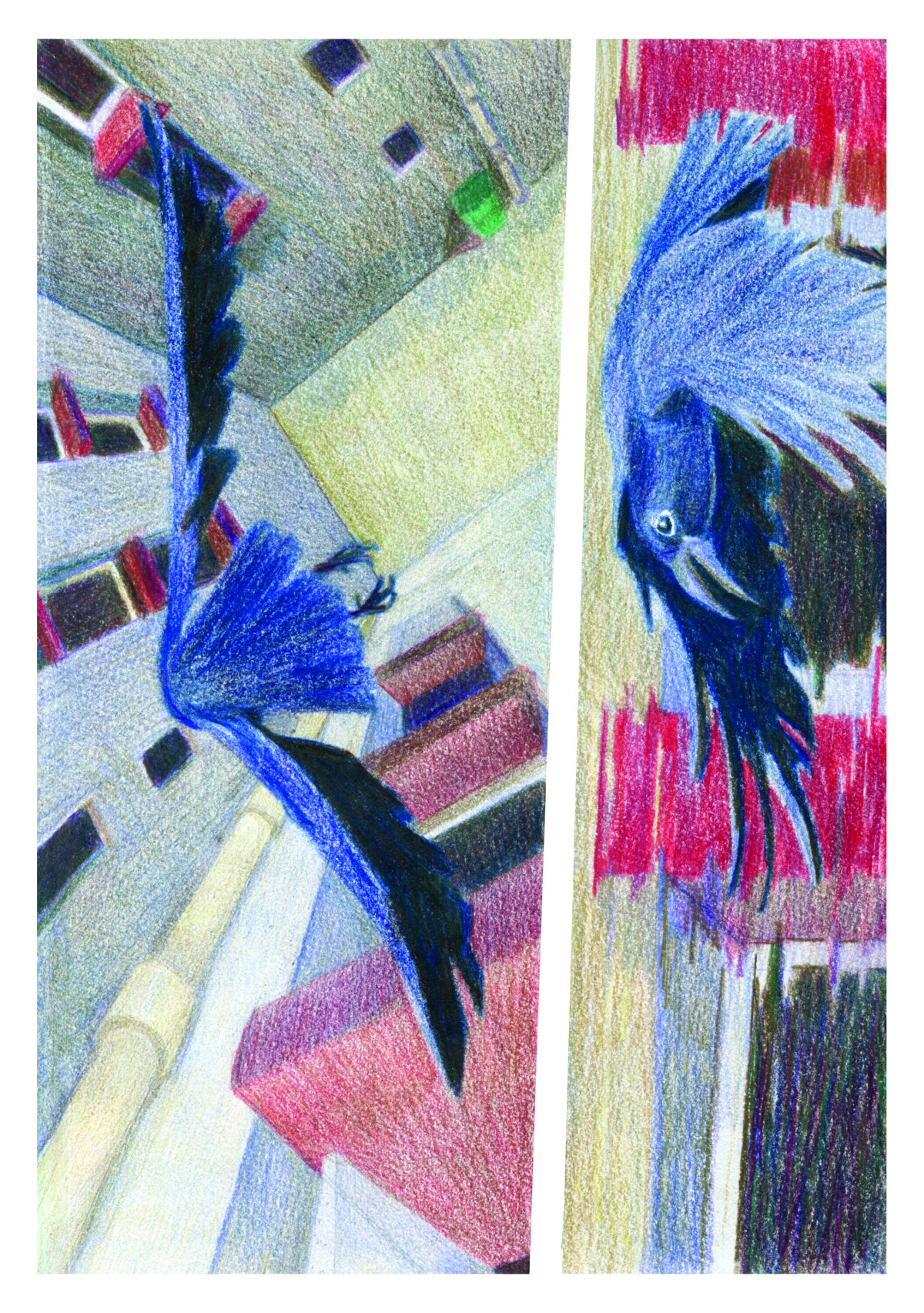 - Un petit coin de paradis- page 2