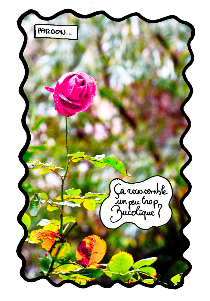 - Moi, ce truc là-haut- page 5