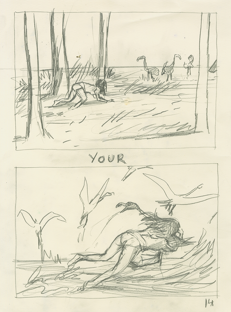 - your neighbor- page 14