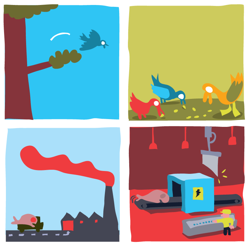 - Food-chain-reaction- page 10