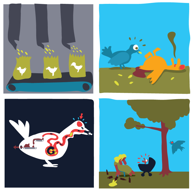 - Food-chain-reaction- page 12