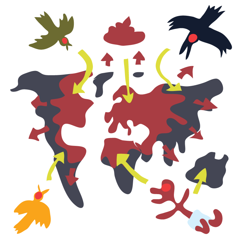 - Food-chain-reaction- page 20