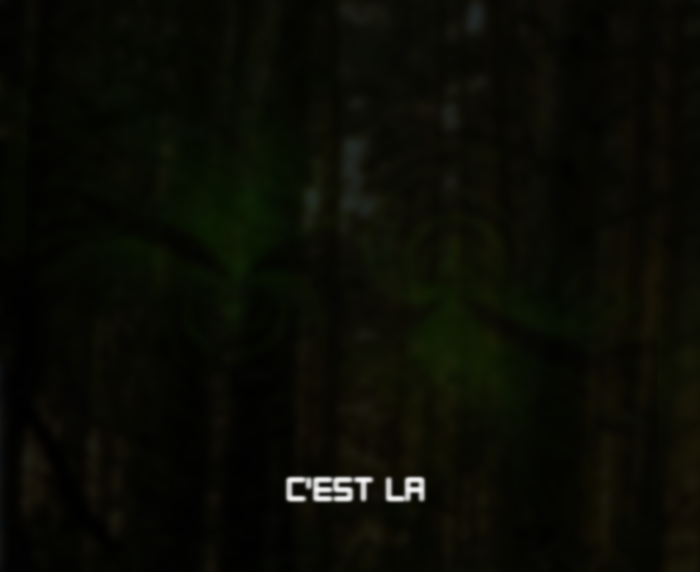 - Transitions (V)- page 13