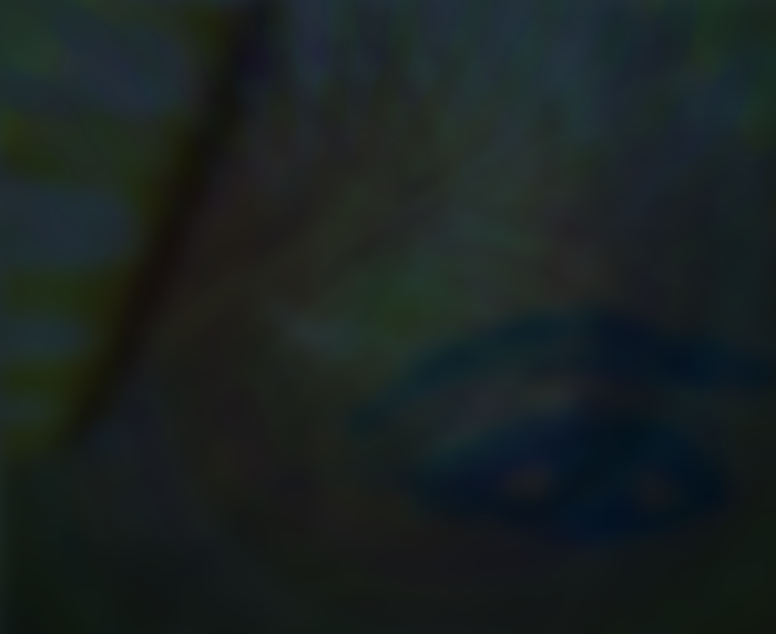 - Transitions (V)- page 22