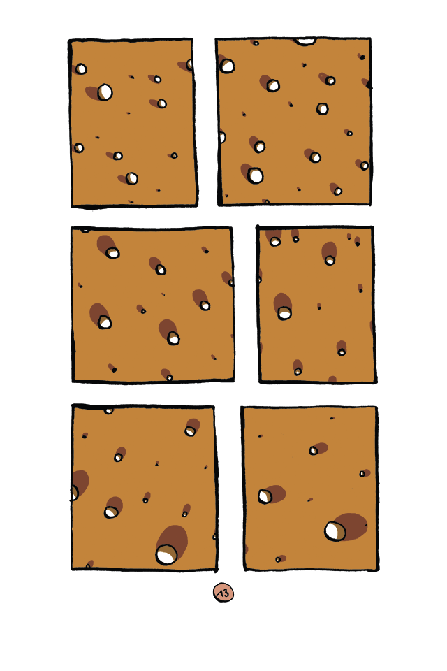 - Les Insectes de Pluie- page 15