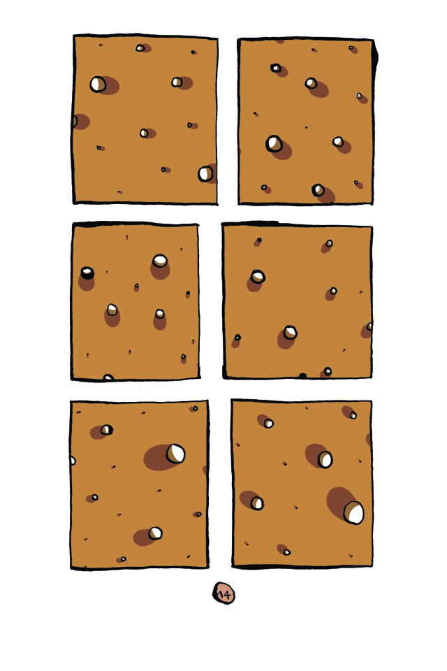 - Les Insectes de Pluie- page 16