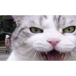 logo Stéphane Prigent