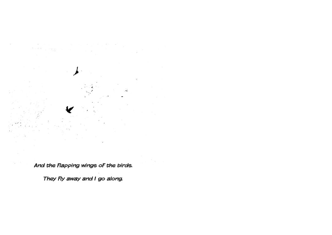 João Pinheiro - Molotovpage 13