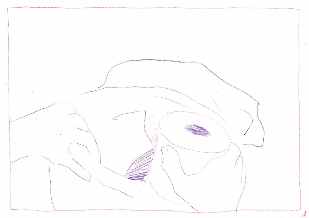 Sibylle Géhin - A higher determinationpage 2