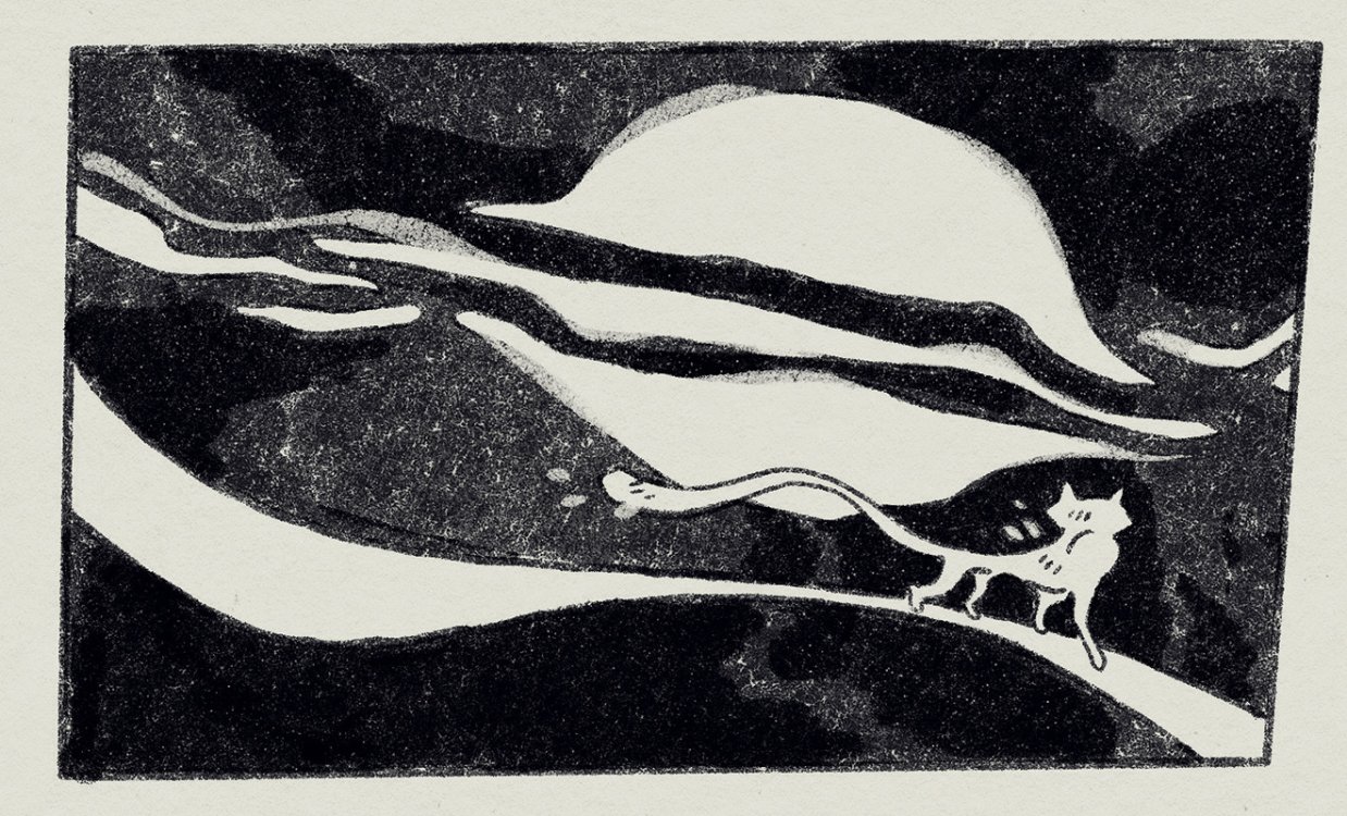 Lauralie Girard - Nobodypage 5