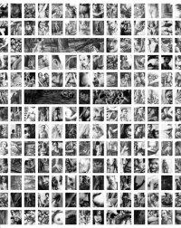 Les images volées par Thierry van Hasselt