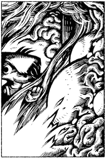 Le Bureau Provisoire - Monsieur Couteaupage 45