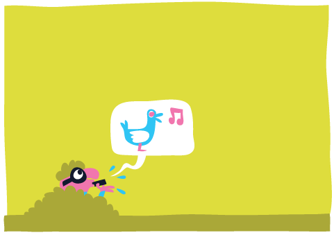  Bulu - TURBOCOINCOINpage 11