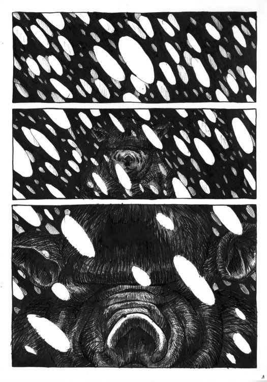  Bérénulle - GROS PORCpage 1