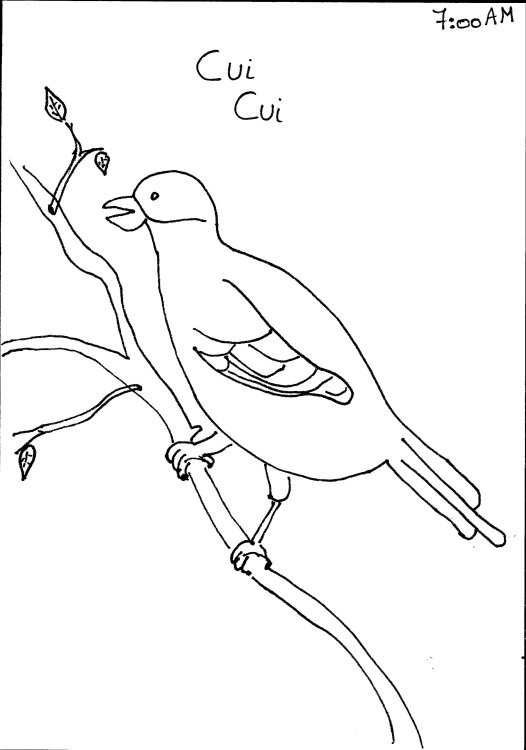 Laura Willems - Day&Nightpage 20