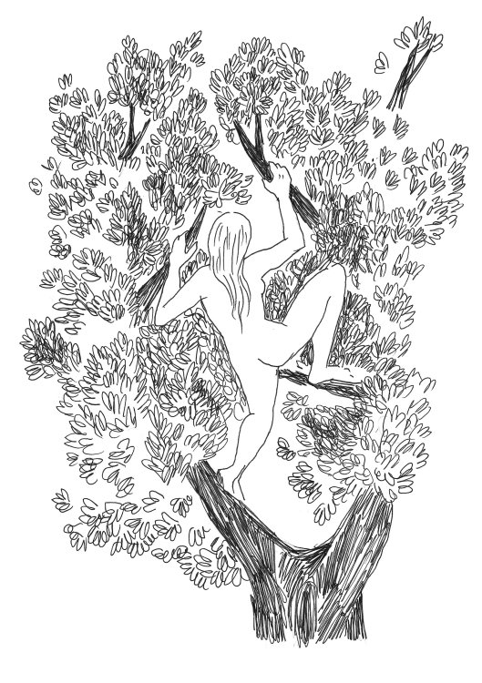 Sarah Ayadi - L'Arbrepage 16