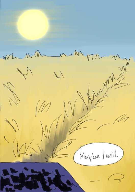 Robin Rösing - Herepage 24